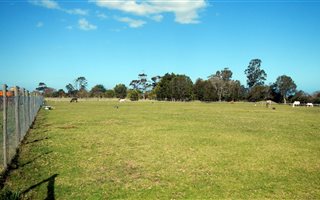 1.2 ha Farm in Victoria Heights