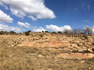 17 ha Land available in Donkerhoek