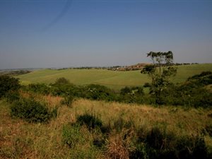 460.7 ha Farm in Empangeni