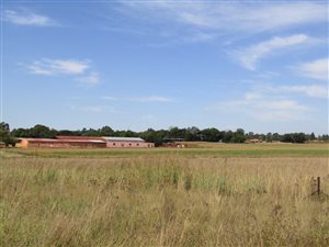 25.8 ha Farm in Bapsfontein