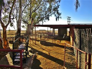 Farm in Bainsvlei