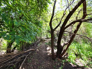 1490 m² Land available in The Ridge Estate