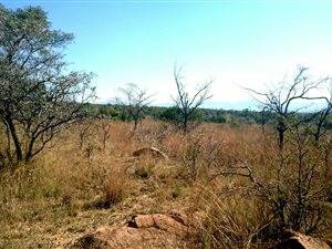 1 ha Land available in Zebula Golf Estate