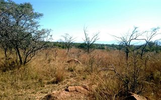 1 ha Land available in Zebula Golf Estate