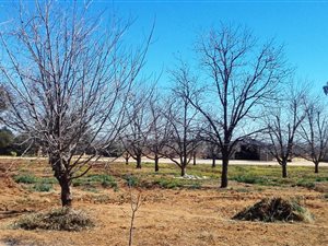 2.2 ha Farm in Hartswater