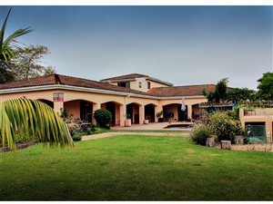 2.3 ha Farm in Knysna Central