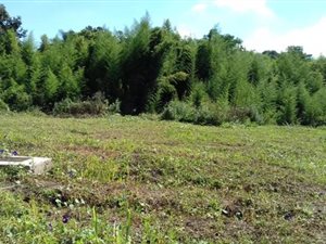 3728 m² Land available in Lincoln Meade