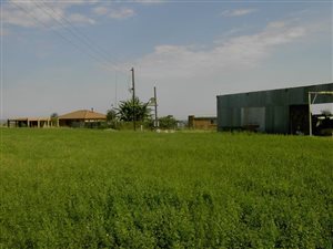 56 ha Farm in Rietfontein