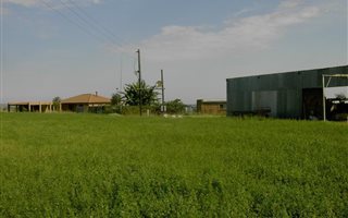 56 ha Farm in Rietfontein