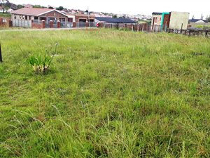 425 m² Land available in Rosemoor