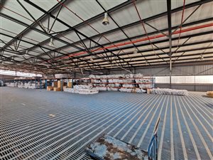 8007 m² Industrial space in City Deep