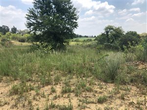 8 ha Land available in Donkerhoek