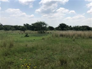 8 ha Land available in Donkerhoek