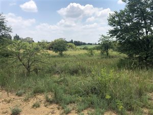 8.5 ha Land available in Donkerhoek