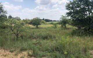 8.5 ha Land available in Donkerhoek