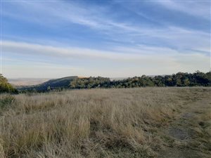 45 ha Farm in Winterskloof