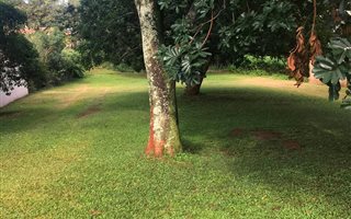 700 m² Land available in Umhlali Golf Estate