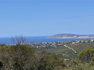 1650 m² Land available in Schoongezicht