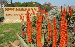 2018 m² Land available in Springerbaai Eco Estate