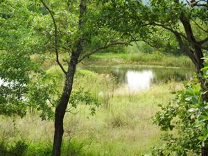 43 ha Farm in Dinokeng