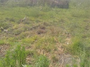 1600 m² Land available in Vereeniging