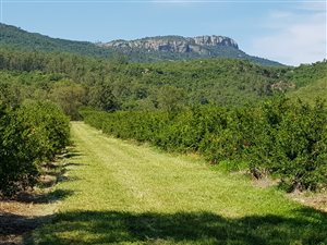 69 ha Farm in Louis Trichardt