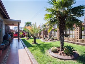 3 Bed House in South Hills