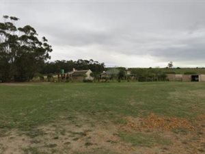 92 ha Farm in Olifantsfontein