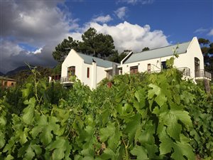 1 ha Agricultural Holding in Sir Lowrys and surrounds