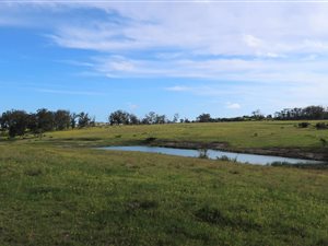 128 ha Farm in Colleen Glen