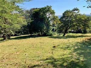 2295 m² Land available in Kloof