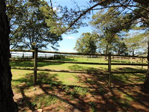 39 ha Farm in Ruiterbos