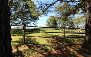 39 ha Farm in Ruiterbos