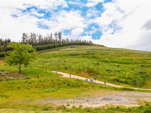 467 m² Land available in Weltevreden Hills Estate