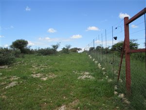 Game Farm in Barkly West