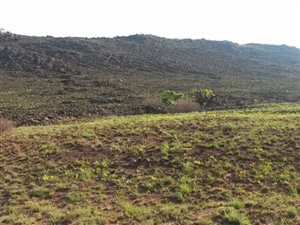 9 ha Land available in Skeerpoort