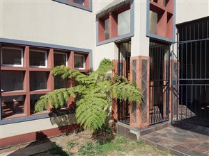 3 Bed Apartment in Driehoek
