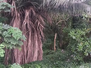 3952 m² Land available in Umtentweni