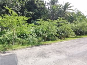 2382 m² Land available in Ramsgate