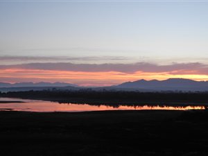 695 m² Land available in Flamingo Bay