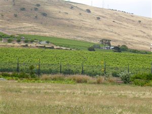 2626 m² Land available in Clara Anna Fontein Estate