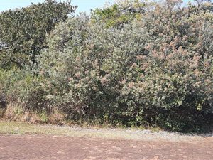 1563 m² Land available in Port Edward