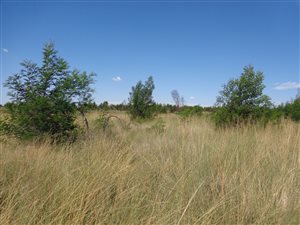 322 m² Land available in Mooikloof Country Residences
