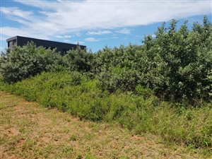 1170 m² Land available in Hawaan Forest Estate