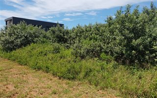 1170 m² Land available in Hawaan Forest Estate