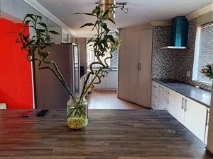 7 Bed House in Meyerspark