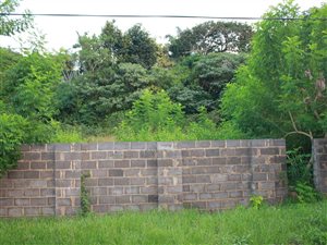 1424 m² Land available in Warner Beach