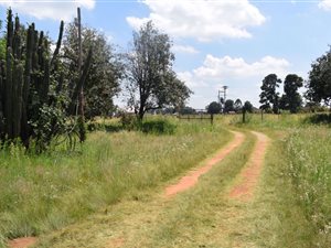 2.1 ha Smallholding in Hallgate