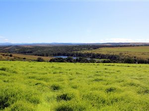 452 ha Farm in Macleantown