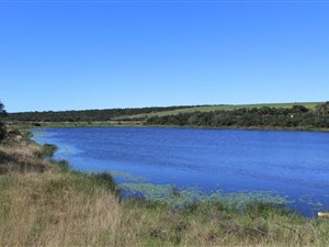 452 ha Farm in Macleantown